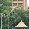 A view of the Diving Event at All India Centenary Aquatic Meet