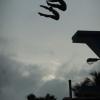 Duet Diving 2